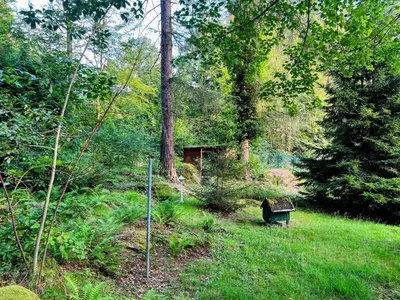 Ein Garten an der Unterkunft Famielienapartment An der Forellenschänke