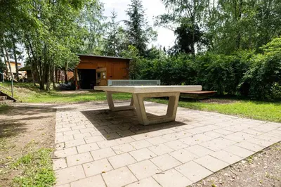 Ein Garten an der Unterkunft Ferienhof Falkenau