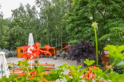 Ein Garten an der Unterkunft Ferienhof Falkenau