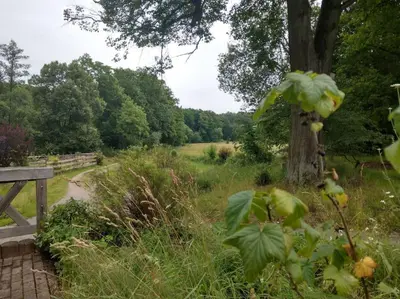 Naturlandschaft in der Nähe der Ferienwohnung