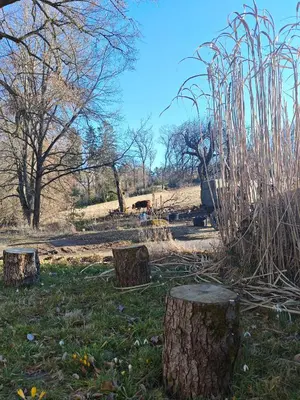 Ein Garten an der Unterkunft Wald-Apartment
