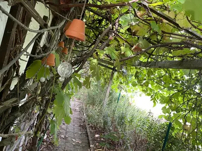 Ein Garten an der Unterkunft Ferienwohnung mit Sonnenterrasse, Monteursunterkunft, Gästewohnung