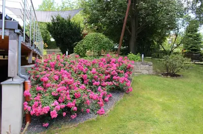 Ein Garten an der Unterkunft Ferienhaus Kraxlhütte Waltersdorf