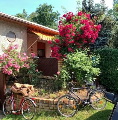 Ein Garten an der Unterkunft Grüner Bungalow am Kiebitzsee