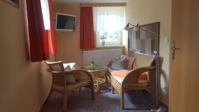 TV/Unterhaltungsangebot in der Unterkunft Haus Elbtalblick