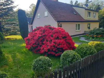 Ein Garten an der Unterkunft Ferienhaus Pali - idyllische Atmosphäre