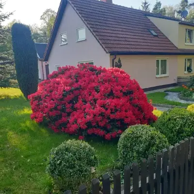Ferienhaus Pali - idyllische Atmosphäre