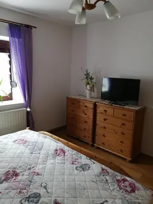 TV/Unterhaltungsangebot in der Unterkunft Ferienwohnung Moni