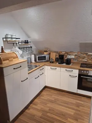 Küche/Küchenzeile in der Unterkunft Gemütliche Ferienwohnung bis 5 Personen nahe Seiffen mit Garten,Grill und Kachelofen