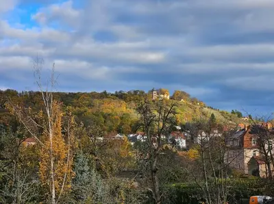 Naturlandschaft in der Nähe der Ferienwohnung