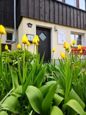 Ein Garten an der Unterkunft Marthas Stübchen