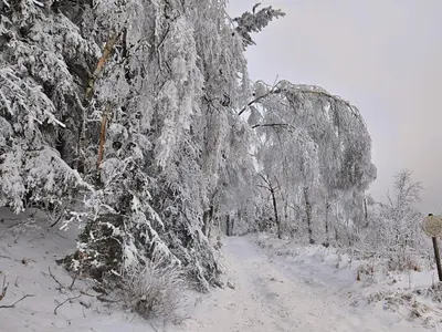 Marthas Stübchen im Winter