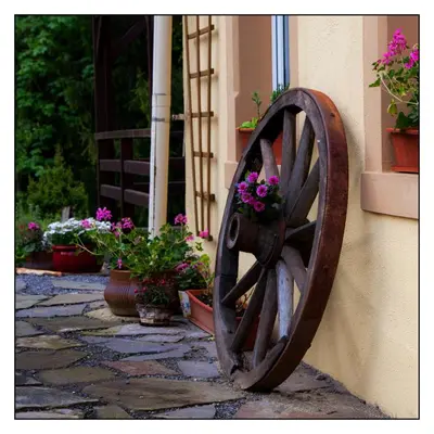 Ein Garten an der Unterkunft gemütliche Ferienwohnung Schwarzmühle