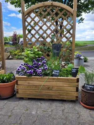 Ein Garten an der Unterkunft Grubschützer Ferienhäuschen