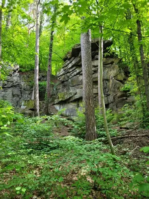 Naturlandschaft in der Nähe der Ferienwohnung