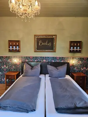 Ein Bett oder Betten in einem Zimmer der Unterkunft Villa Elbling