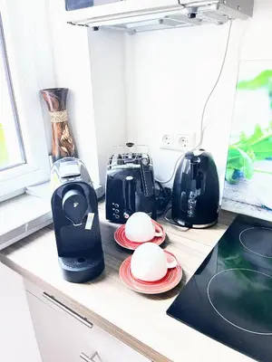 Küche/Küchenzeile in der Unterkunft Relax Suite am Waldschlösschen Dresden