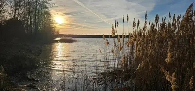 Naturlandschaft in der Nähe der Ferienwohnung