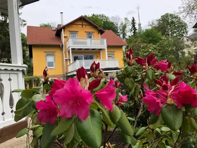 Ein Garten an der Unterkunft Ferienwohnung Casa Casimir mit Elbblick, Balkon und großen Garten