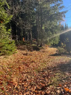 Naturlandschaft in der Nähe der Pension