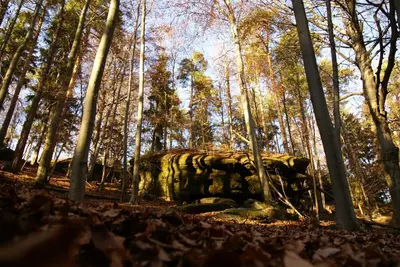 Naturlandschaft in der Nähe der Pension