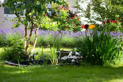 Ein Garten an der Unterkunft Hotel Lindenhof Bad Schandau
