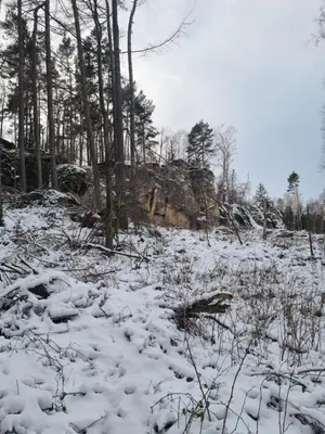Am Rittergut Giesenstein im Winter