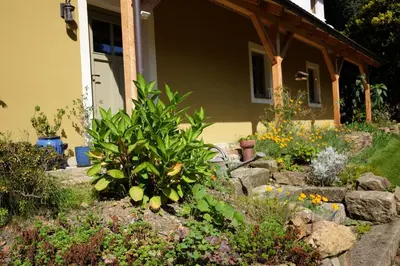 Ein Garten an der Unterkunft Waldhaus Bielatal