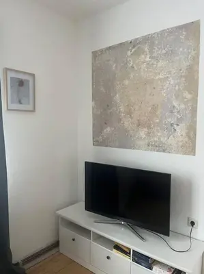 TV/Unterhaltungsangebot in der Unterkunft Rosa Schwarz