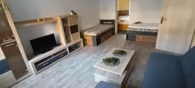 TV/Unterhaltungsangebot in der Unterkunft Roßweiner Hof