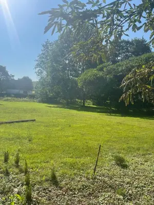 Ein Garten an der Unterkunft Pension Gut Runge