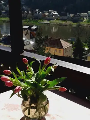 Ein Balkon oder eine Terrasse in der Unterkunft Wehlener Landhaus in Stadt Wehlen, Sächsische Schweiz