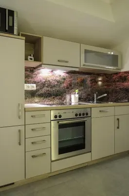 Küche/Küchenzeile in der Unterkunft Ferienwohnung Radebeul Gerlach