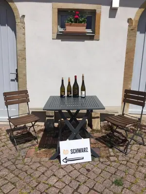Getränke in der Unterkunft Weingut Martin Schwarz