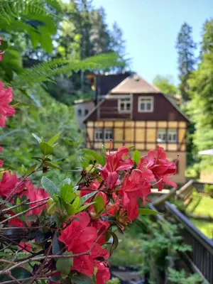 Ein Garten an der Unterkunft Rathewalder Mühle