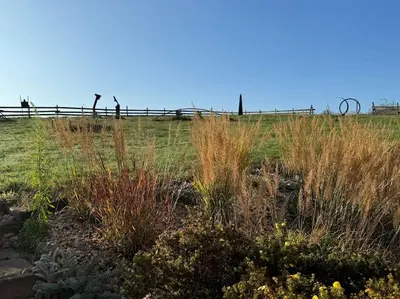 Ein Garten an der Unterkunft Moritzburg Loftwohnung