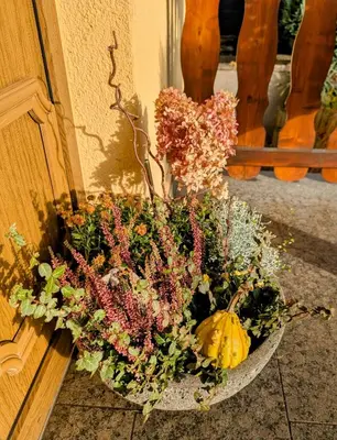 Ein Garten an der Unterkunft Schöne 2-Raumwohnung inklusive Infrarot-Wärmekabine