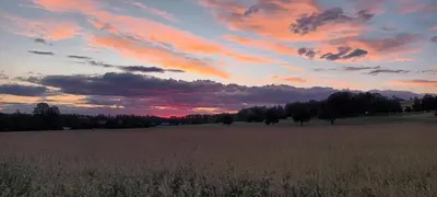 Blick auf den Sonnenuntergang/Sonnenaufgang von der Ferienwohnung aus oder aus der Nähe