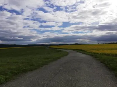 Naturlandschaft in der Nähe des Ferienhauses