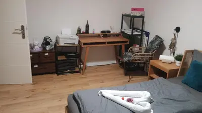TV/Unterhaltungsangebot in der Unterkunft Traum Appartement Coswig