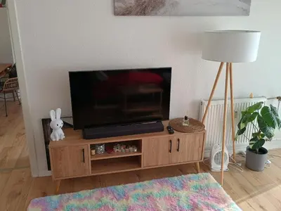 TV/Unterhaltungsangebot in der Unterkunft Romantic Coswig