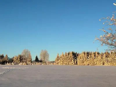 Ferienwohnung Waldblick mit Sauna im Winter
