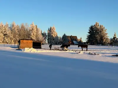 Ferienwohnung Waldblick mit Sauna im Winter