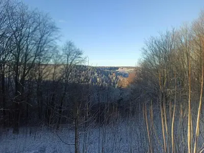 Naturlandschaft in der Nähe der Ferienwohnung