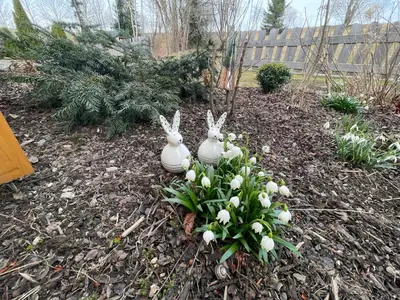 Ein Garten an der Unterkunft Ferienwohnung am Miriquidi
