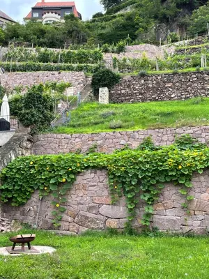 Ein Garten an der Unterkunft Studio-Apartment im Weinberg