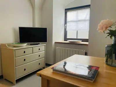 TV/Unterhaltungsangebot in der Unterkunft Studio-Apartment im Weinberg