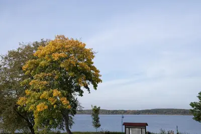 Naturlandschaft in der Nähe der Ferienwohnung
