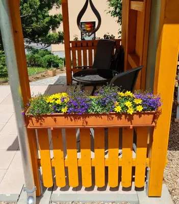 Ein Garten an der Unterkunft Fewo Horn