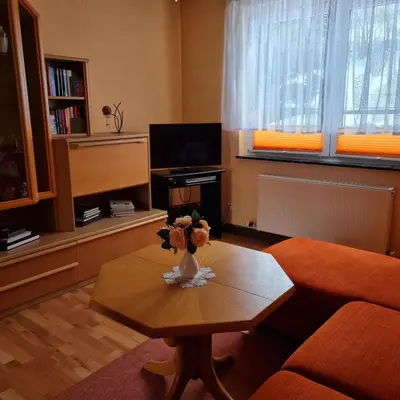 TV/Unterhaltungsangebot in der Unterkunft Fewo Horn